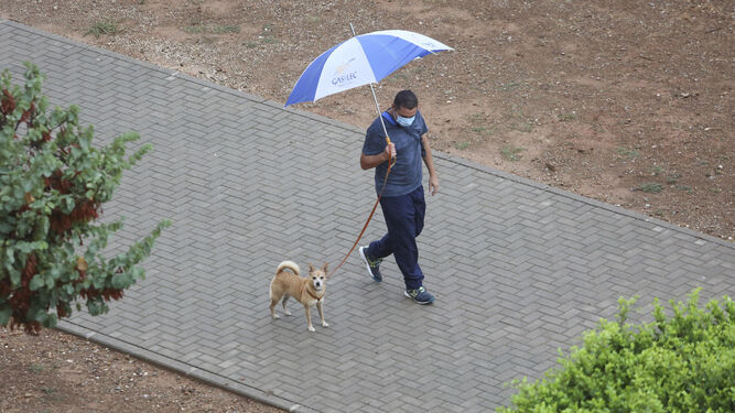 Un hombre pasea con su perro protegido con un paraguas.