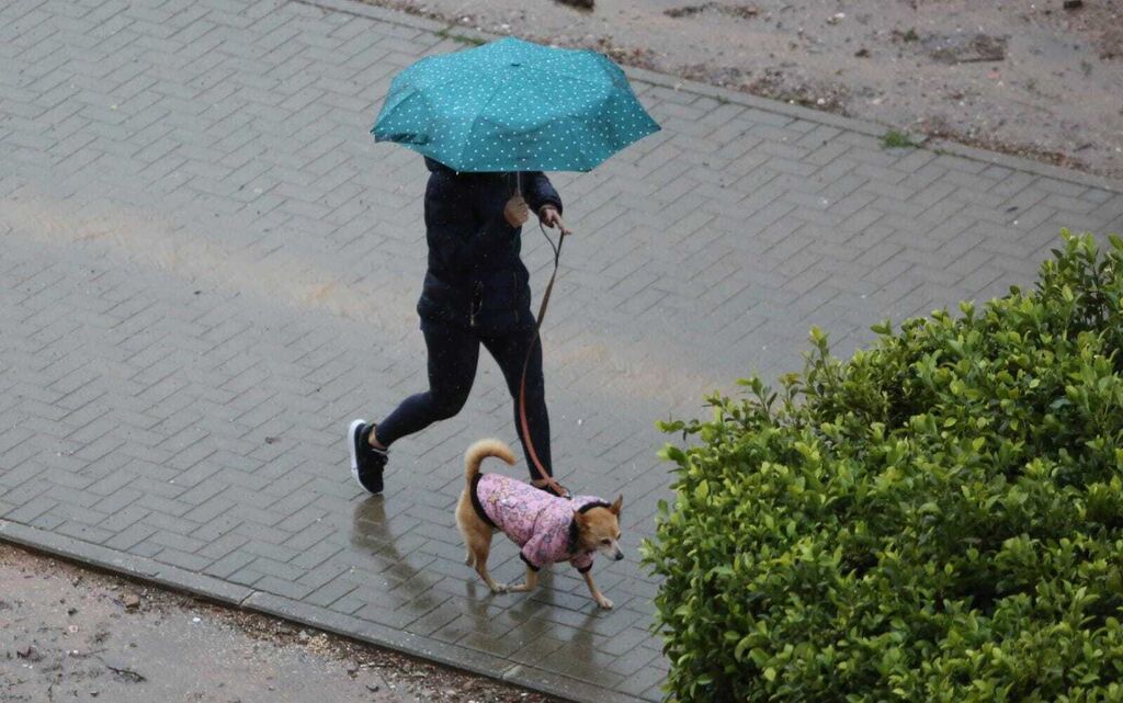 Lluvias en M&aacute;laga: La borrasca Celia saca por fin los paraguas en la provincia