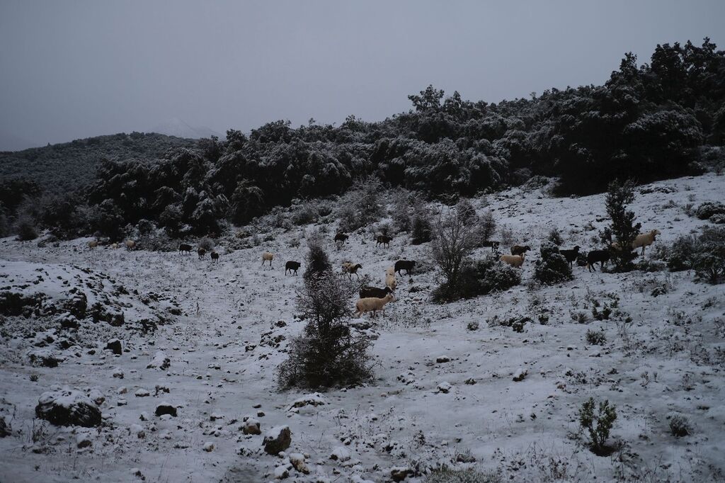 La nieve cubre la Sierra de las Nieves