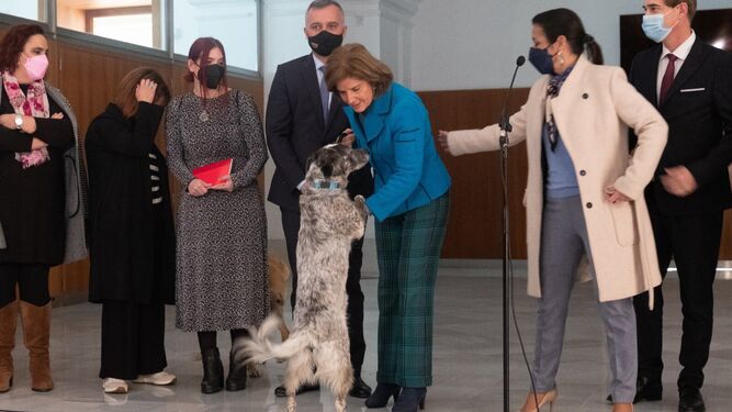 Esperanza Oña interactúa con uno de sus perros en el Parlamento Andaluz.