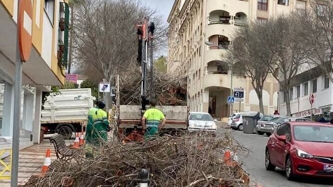 Unos operarios municipales retirando restos arbóreos de la avenida Salvador Vicente.