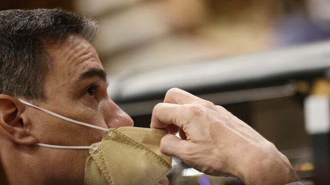 El presidente del Gobierno, Pedro Sánchez, ajustándose la mascarilla en el Congreso