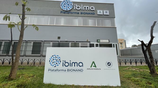 Instalaciones del Ibima, en el Clínico.