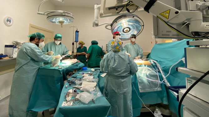 Un equipo quirúrgico realizando un trasplante.