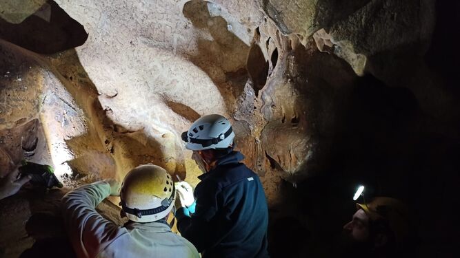 Trabajos del equipo de investigación en el interior de la Cueva de la Victoria.