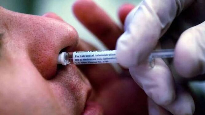 Así funcionan las vacunas nasales contra la Covid-19