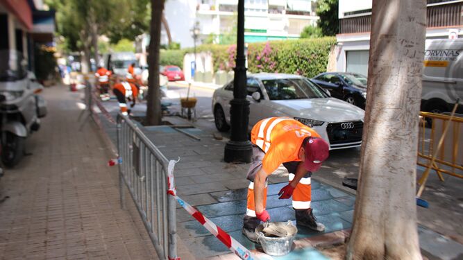 Un operario realizando trabajos de mejora en los alcorques de la calle Ramón Gómez de la Serna, en Marbella.