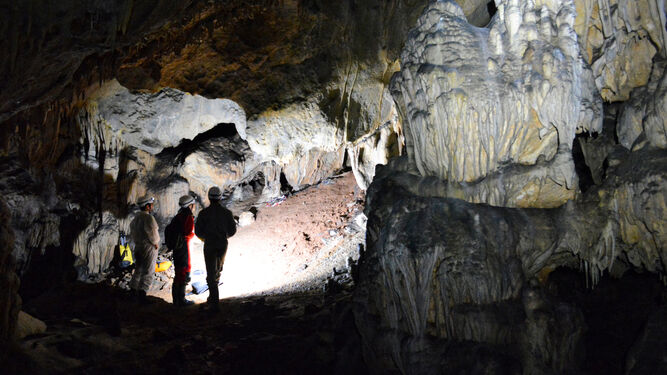Interior de la Cueva de Ardales.