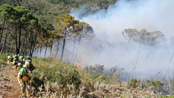 Bomberos del Infoca en la zona del incendio declarado en Pujerra.