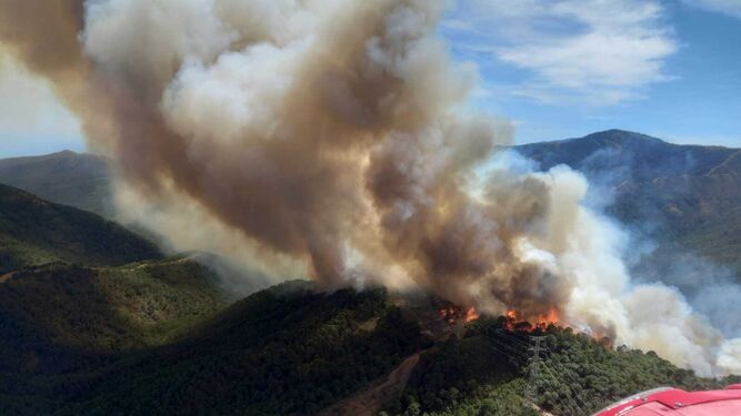 El incendio en Pujerra, en fotos