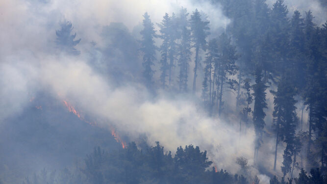 Las fotos del tercer día del incendio en Sierra Bermeja