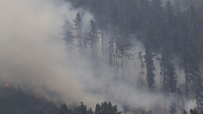 El incendio en Sierra Bermeja, este viernes.