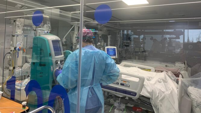 Una sanitaria atiende a un paciente ingresado en UCI, en una imagen de archivo.