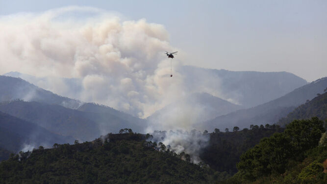 Un helicóptero en los trabajos de extinción del incendio iniciado en Pujerra el 8 de junio.