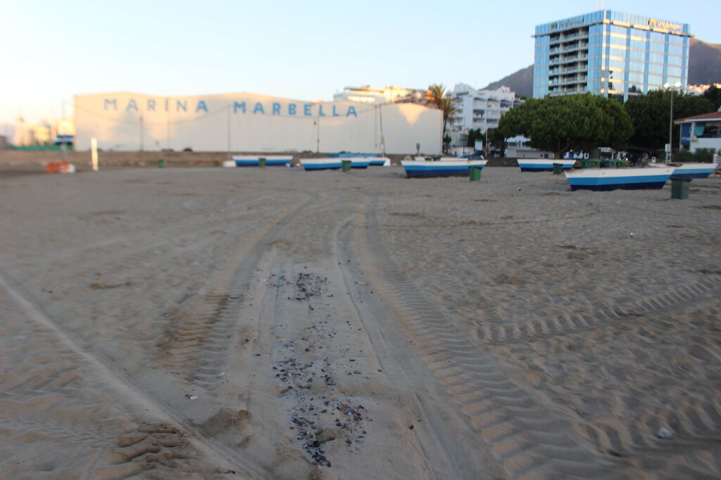 Los restos de ceniza de un fuego en la playa El Cable.