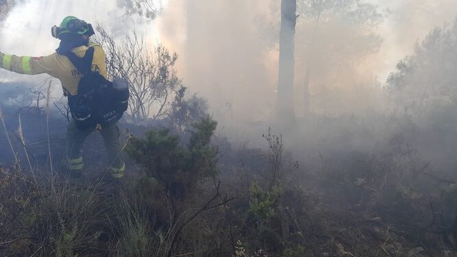 Un bombero forestal, este viernes, en el incendio de Canillas de Albaida.