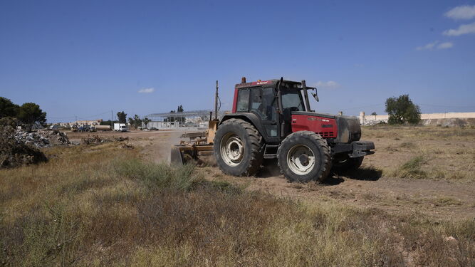 Un tractor desbroza la tierra en la que se cultivarán espárragos en una finca de San Isidro.