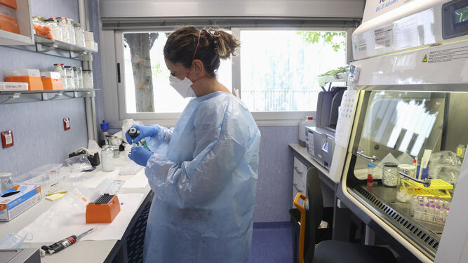 Una sanitaria en laboratorio hace pruebas para detectar la viruela del mono.