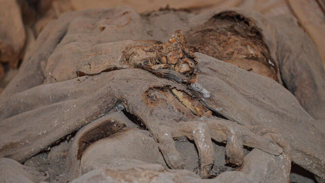 Detalle de una de las dos momias de Alpandeire, Málaga.