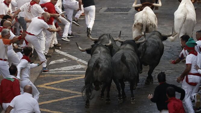 Los toros avanzando en el tercer encierro de los Sanfermines.