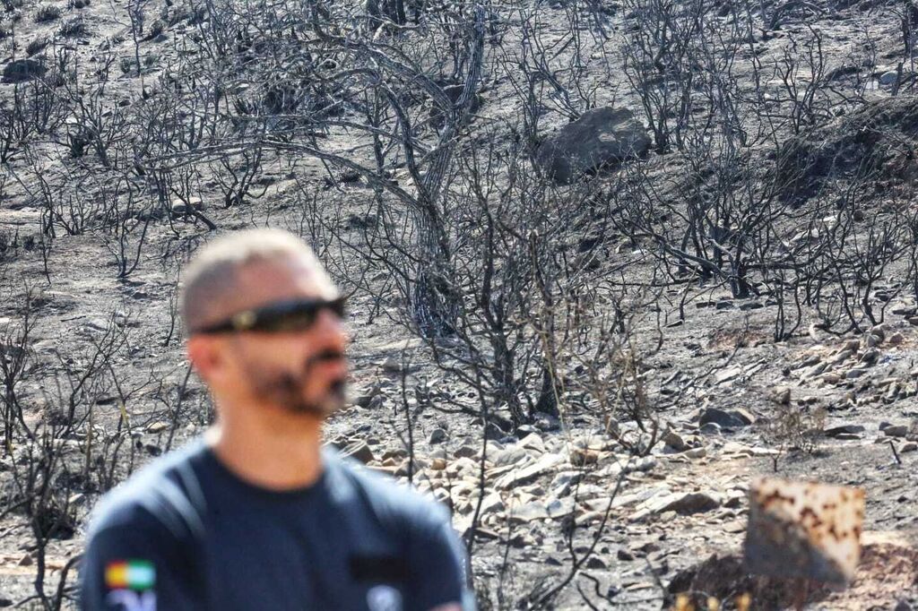 Las fotos de las zonas arrasadas por el incendio en la Sierra de Mijas