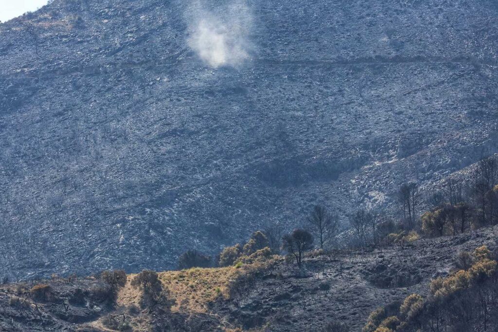 Las fotos de las zonas arrasadas por el incendio en la Sierra de Mijas