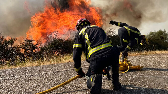 Efectivos de bomberos este domingo en la extinción de un incendio forestal en la carretera N120, en A Cañiza (Pontevedra).