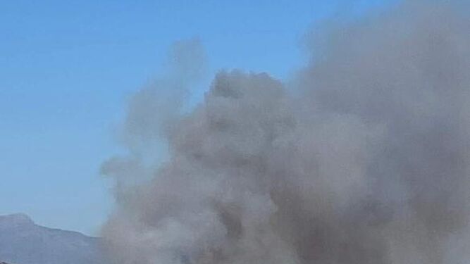 La columna de humo generada por el fuego declarado esta tarde en Estepona.