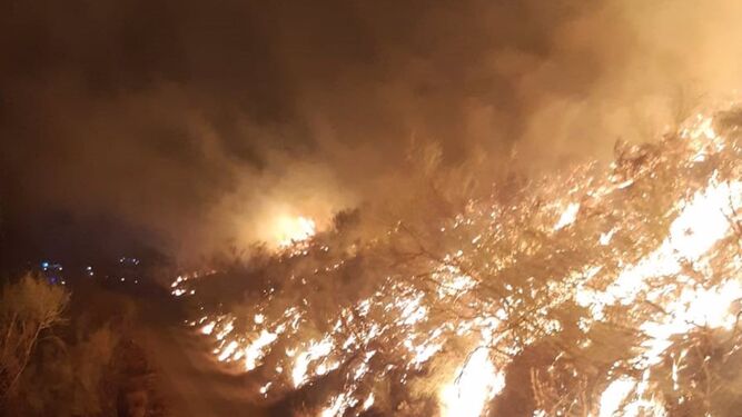 Incendio forestal en Casabermeja.