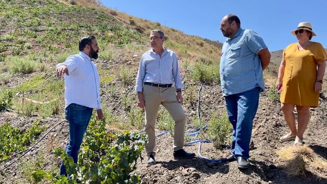 El presidente de la Diputación, Francisco Salado, visita las cepas plantadas.