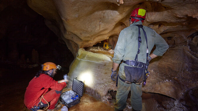 Investigadores estudian una estegamita en el interior de la Cueva de La Araña.