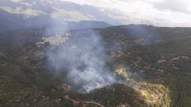Incendio forestal declarado en Jubrique este domingo.