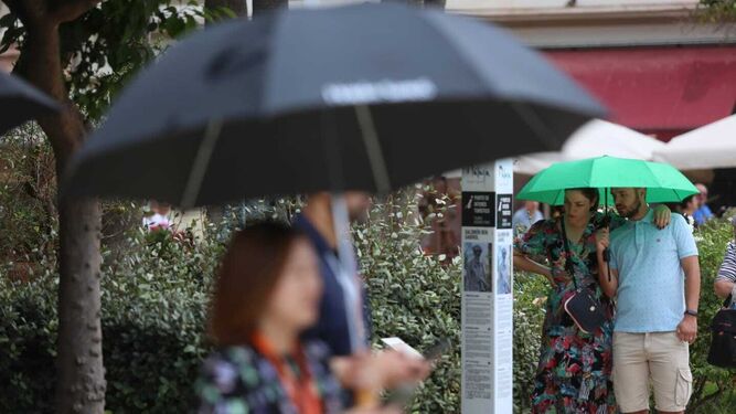 Algunas personas protegidas con paraguas el pasado martes en Málaga.