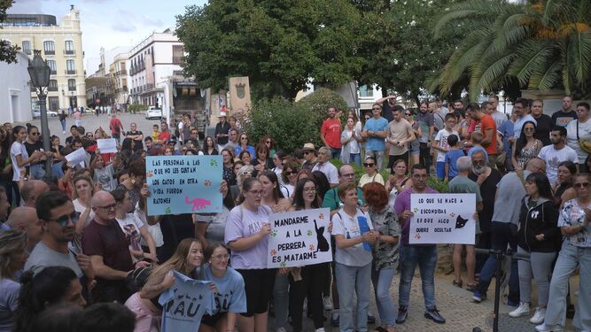 Unas 200 personas mostraron su rechazo a eliminar la colonia de gatos de Blas Infante.