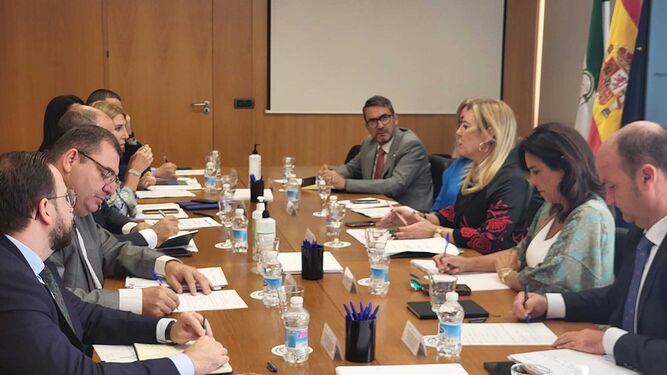 Reunión de la consejera  Carolina España con los delegados territoriales del ramo.