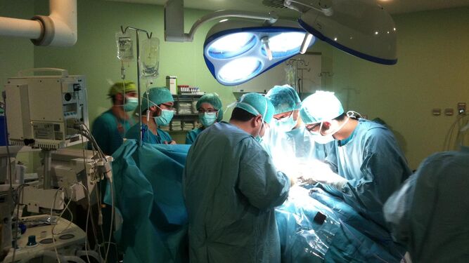 Profesionales realizan una intervención quirúrgica.