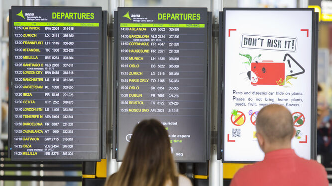 Dos personas miran los paneles de vuelo en el Aeropuerto de Málaga.
