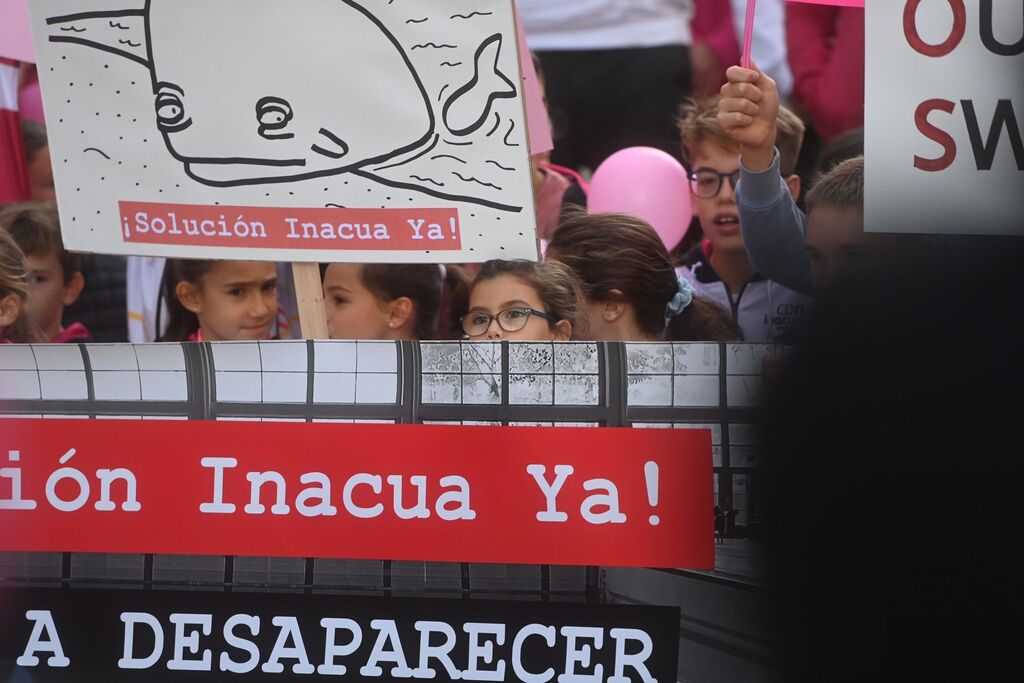 Las fotos de la manifestaci&oacute;n del Club de Nataci&oacute;n Inacua