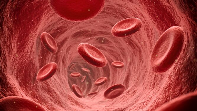 El grupo sanguíneo puede predecir el riesgo de contraer una enfermedad viral, según estudio