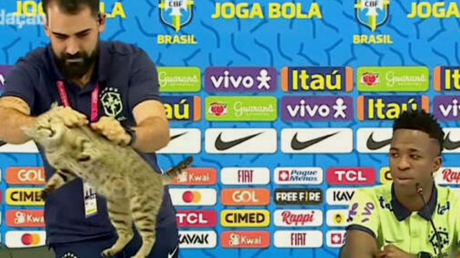 Denuncian en las redes sociales el polémico gesto del jefe de prensa de Brasil con un gato en una rueda de prensa