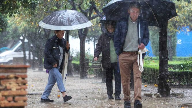 Varias personas se protegen de la lluvia el pasado viernes en el centro de Málaga.