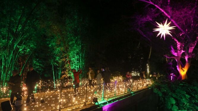 Un puente del Jardín Botánico con las luces de Navidad