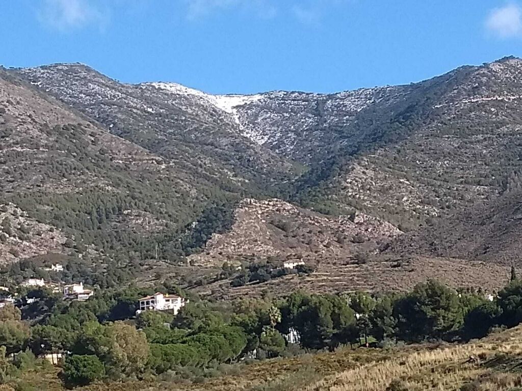 Cerro del Chaparral.