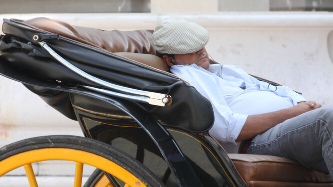 Un cochero duerme la siesta en Sevilla
