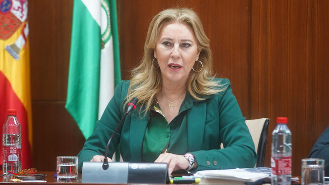 Carolina España en la Comisión de Economía del Parlamento de Andalucía.