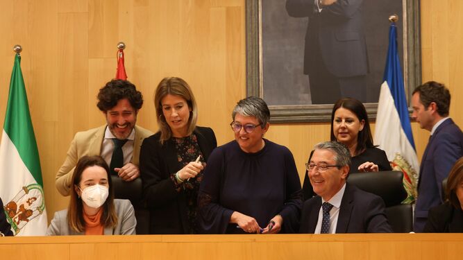 Un momento del Pleno de la Diputación de Málaga este jueves.