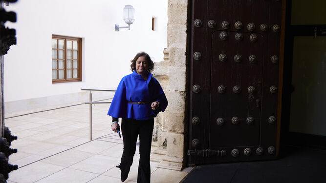 Catalina García, consejera de Salud, a su entrada en el parlamento de Andalucía.