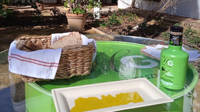 El oleoturismo se ha convertido en una experiencia única y solidaria en torno al aceite de oliva virgen extra.