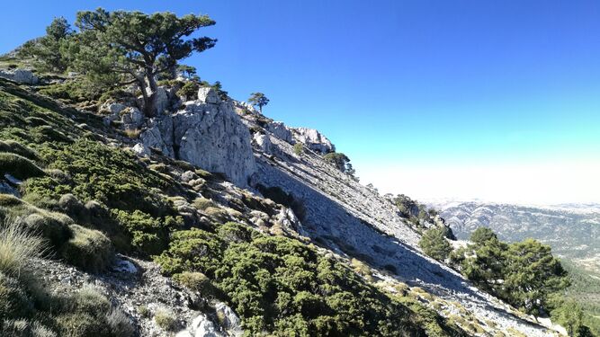 Asaja rechaza la declaración como Parque Natural de la Sierra de La Sagra que limitará el uso agroganadero