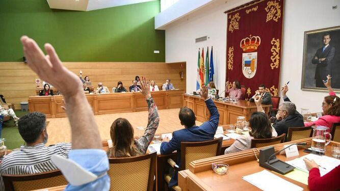 La votación de una moción en el Pleno de Torremolinos.